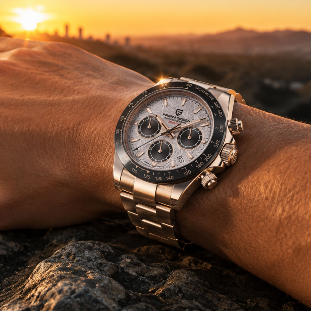 Top Brand PAGANI DESIGN Luxury - Luxury Watch Collection recension och pris