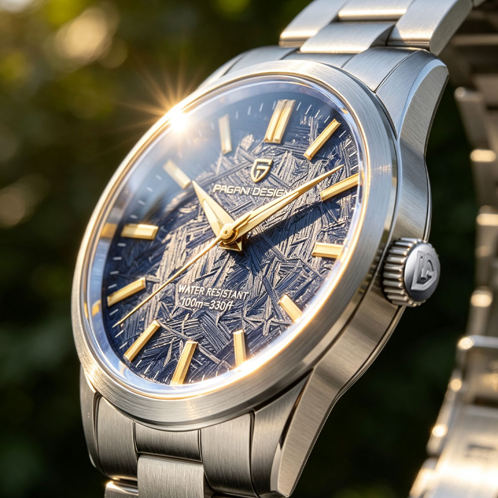 PAGANI DESIGN 40MM Men Quartz  - Luxury Watch Collection recension och pris