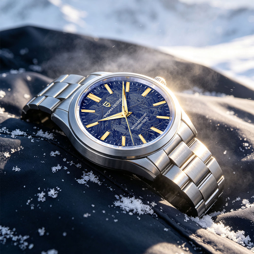 PAGANI DESIGN 40MM Men Quartz  - Luxury Watch Collection recension och pris